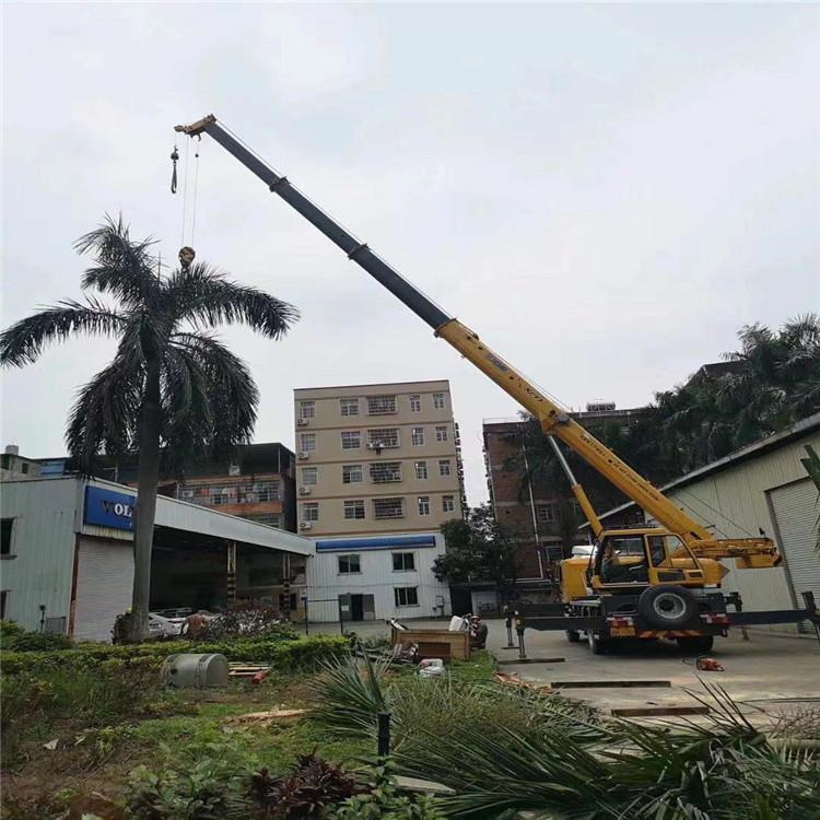 邱县吊车出租事故案例分析：如何避免设备倾覆风险